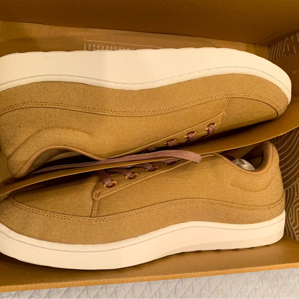 New in box! Allbirds Men’s Canvas Piper Hazy Beige 14
